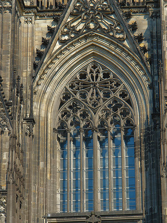 Fenster des Kölner Doms Fotos