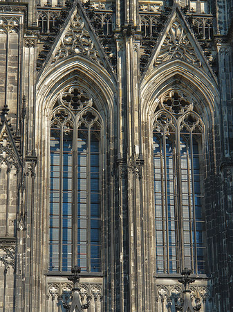 Fotos Fenster des Kölner Doms