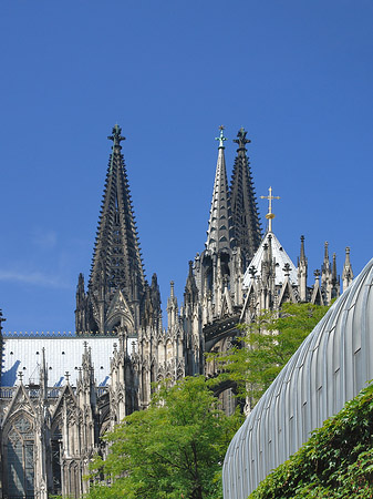 Foto Hauptbahnhof vor dem Kölner Dom