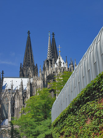 Hauptbahnhof vor dem Kölner Dom