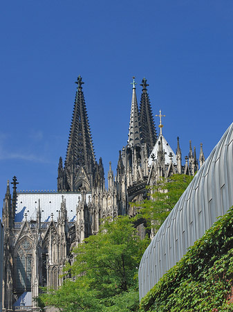 Hauptbahnhof vor dem Kölner Dom