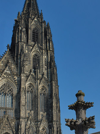 Fotos Kreuzblume vor Kölner Dom