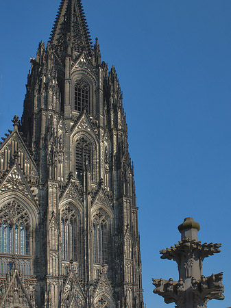 Kreuzblume vor Kölner Dom Foto 