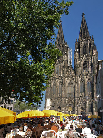 Foto gelbe Sonnenschirme vor Kölner Dom