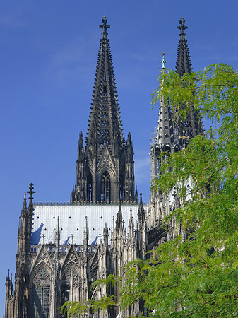 Türme des Kölner Doms Fotos