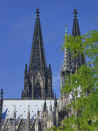 Türme des Kölner Doms Fotos