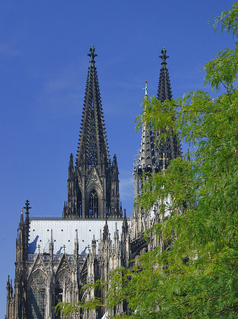 Türme des Kölner Doms Foto 