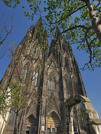 Westfassade des Kölner Doms Foto 