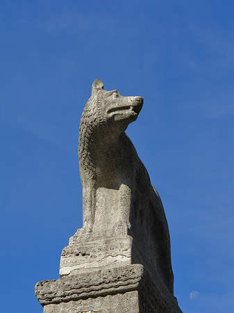 Wolfsstatue am Stadtmuseum Fotos