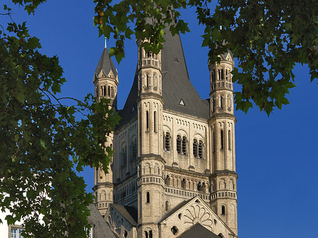 Fotos Groß St.Martin hinter Baum | Köln