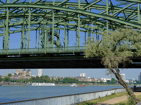 Foto Hohenzollernbrücke mit Baum - Köln