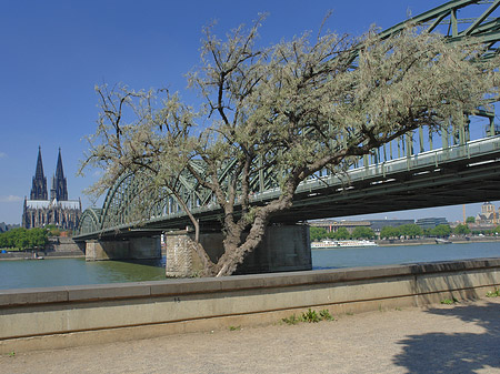 Foto Hohenzollernbrücke am Kölner Dom