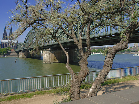 Hohenzollernbrücke am Kölner Dom Foto 