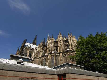 Foto Kölner Dom mit Dombauhütte - Köln