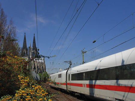 Foto Kölner Dom mit ICE