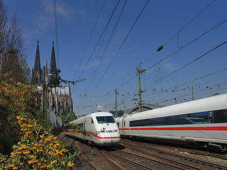 Foto Kölner Dom mit ICE - Köln