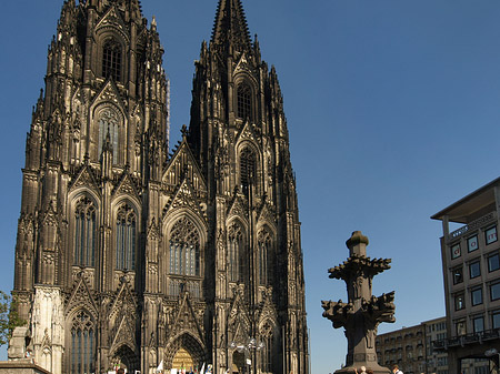 Kreuzblume vor Kölner Dom Fotos