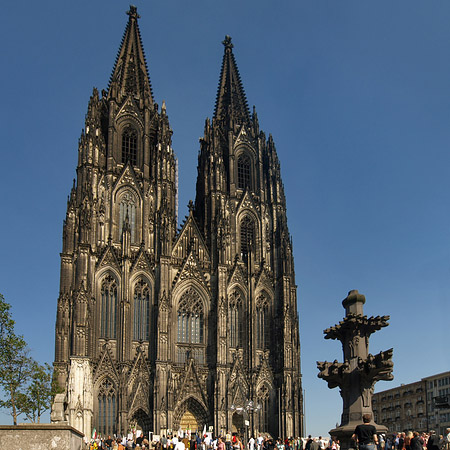 Kreuzblume vor Kölner Dom