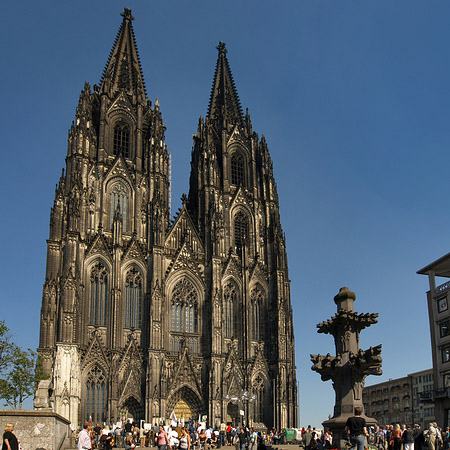 Kreuzblume vor Kölner Dom