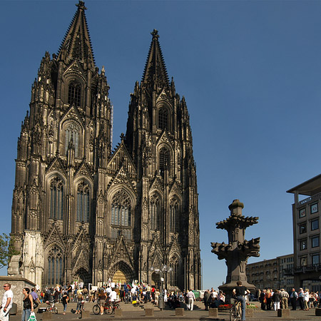 Kreuzblume vor Kölner Dom Fotos