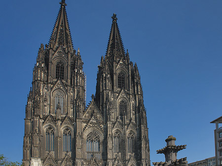 Kreuzblume vor Kölner Dom Fotos