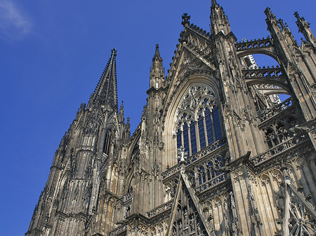 Fotos Südportal des Kölner Doms