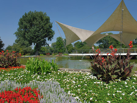 Tanzbrunnen im Rheinpark Fotos