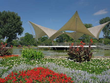 Foto Tanzbrunnen im Rheinpark - Köln