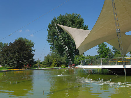 Fotos Tanzbrunnen im Rheinpark